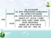 人教版（2024年新版）八年级上册物理第四章 光现象 章末复习课件