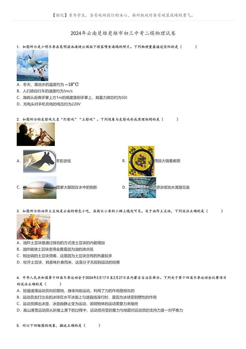 [物理][二模]2024年云南楚雄楚雄市初三中考真题二模物理试卷原题版第1页