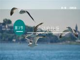 （人教版2024）八年级物理上册同步1.3 运动的快慢  课件+教案+同步练习+视频素材