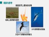 （人教版2024）八年级物理上册同步1.3 运动的快慢  课件+教案+同步练习+视频素材