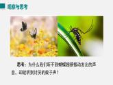 （人教版2024）八年级物理上册同步2.2 声音的特性  课件+教案+同步练习+视频素材