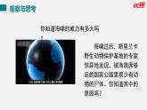 （人教版2024）八年级物理上册同步2.3 声的利用 课件+教案+同步练习+视频素材