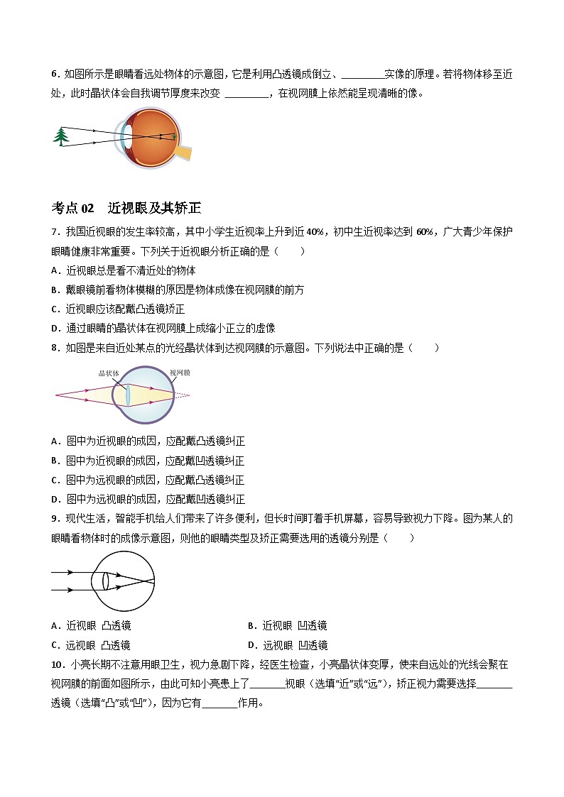 （人教版2024）八年级物理上册同步5.4 眼睛和眼镜   课件+教案+同步练习+视频素材03