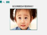 （人教版2024）八年级物理上册同步5.4 眼睛和眼镜   课件+教案+同步练习+视频素材