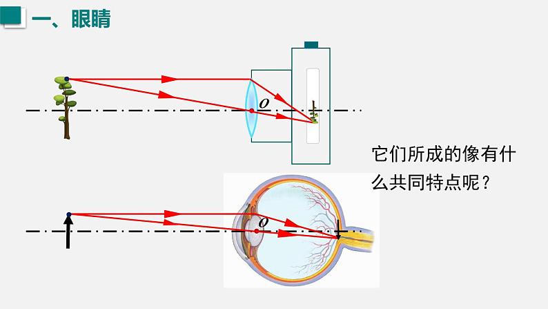 （人教版2024）八年级物理上册同步第4节  眼睛和眼镜 课件（含视频）第5页