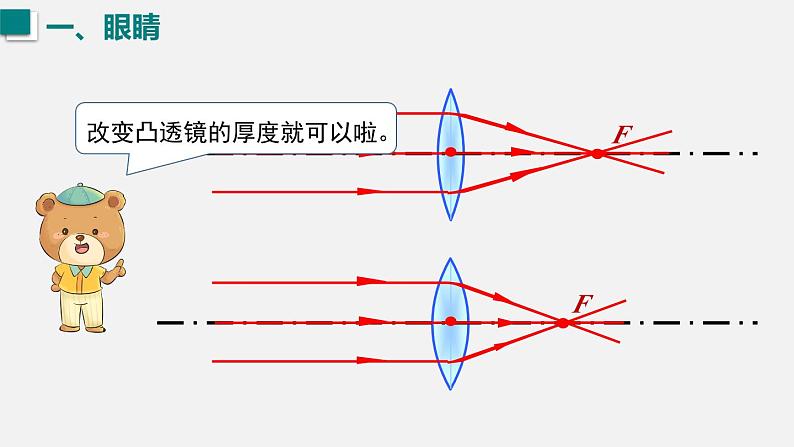 （人教版2024）八年级物理上册同步第4节  眼睛和眼镜 课件（含视频）第7页