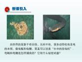 2024-2025学年人教版九年级全一册物理教学课件 16.1电压
