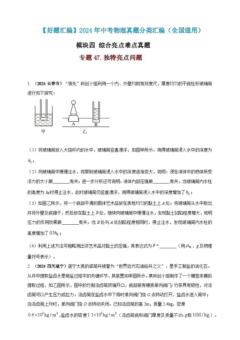 模块四 应用 专题47 独特亮点问题（练习）-2024年中考物理真题分类汇编01