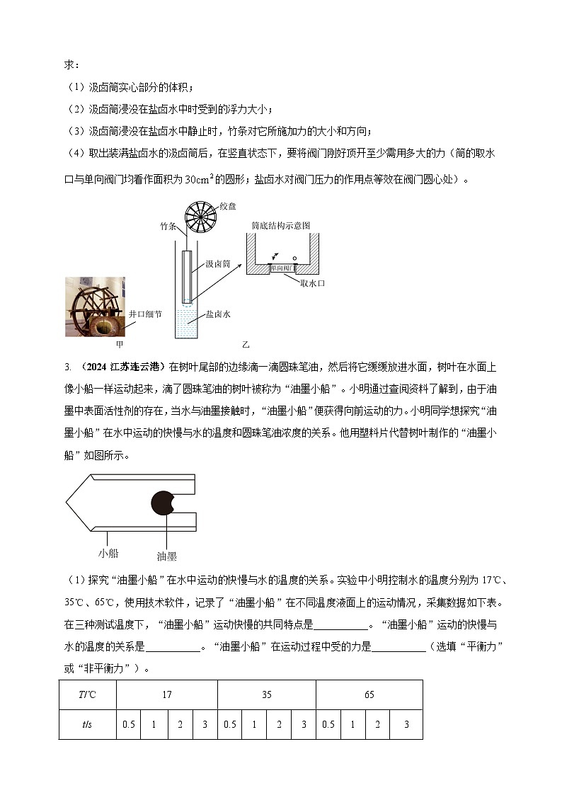 模块四 应用 专题47 独特亮点问题（练习）-2024年中考物理真题分类汇编02