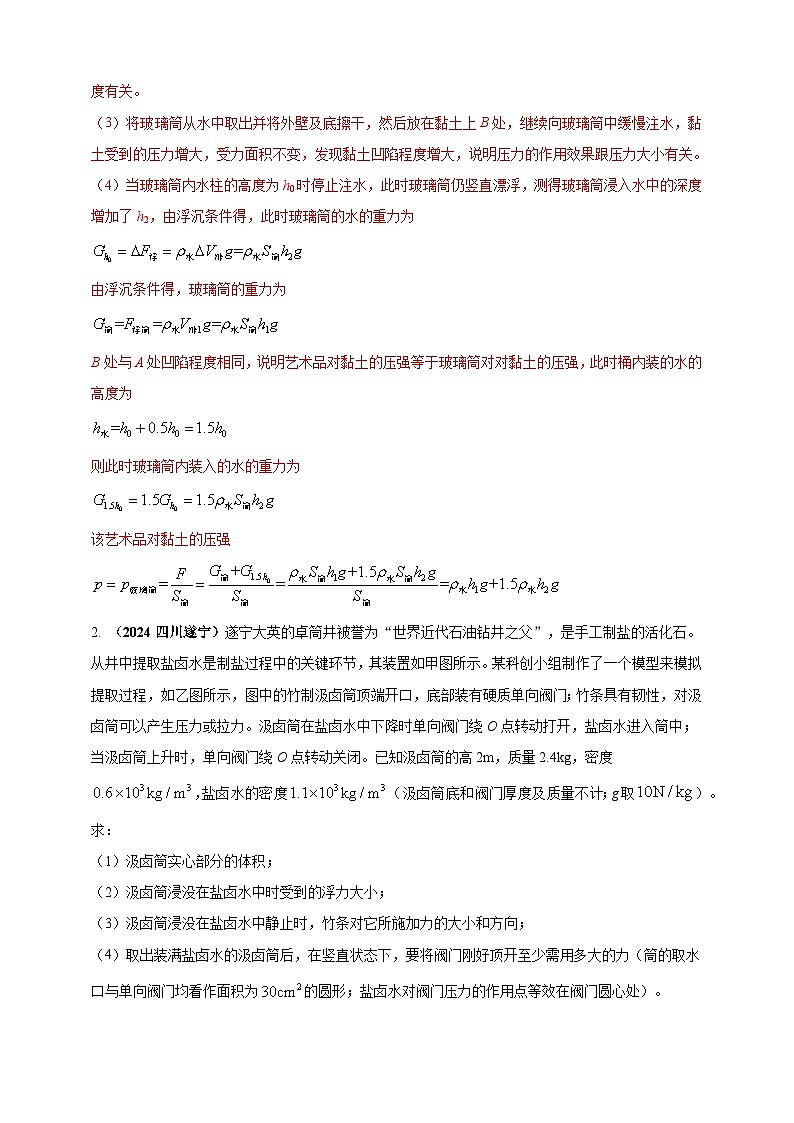 模块四 应用 专题47 独特亮点问题（练习）-2024年中考物理真题分类汇编02