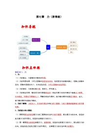 人教版中考物理一轮复习章节分类考点讲解与训练第七章力(原卷版+解析)