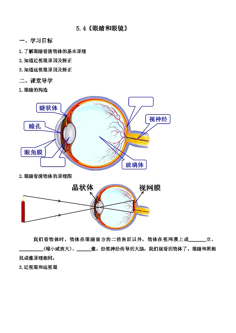 5.4《眼睛和眼镜》【课堂导学案】  ---2024年秋人教版(2024)物理八年级上学期01