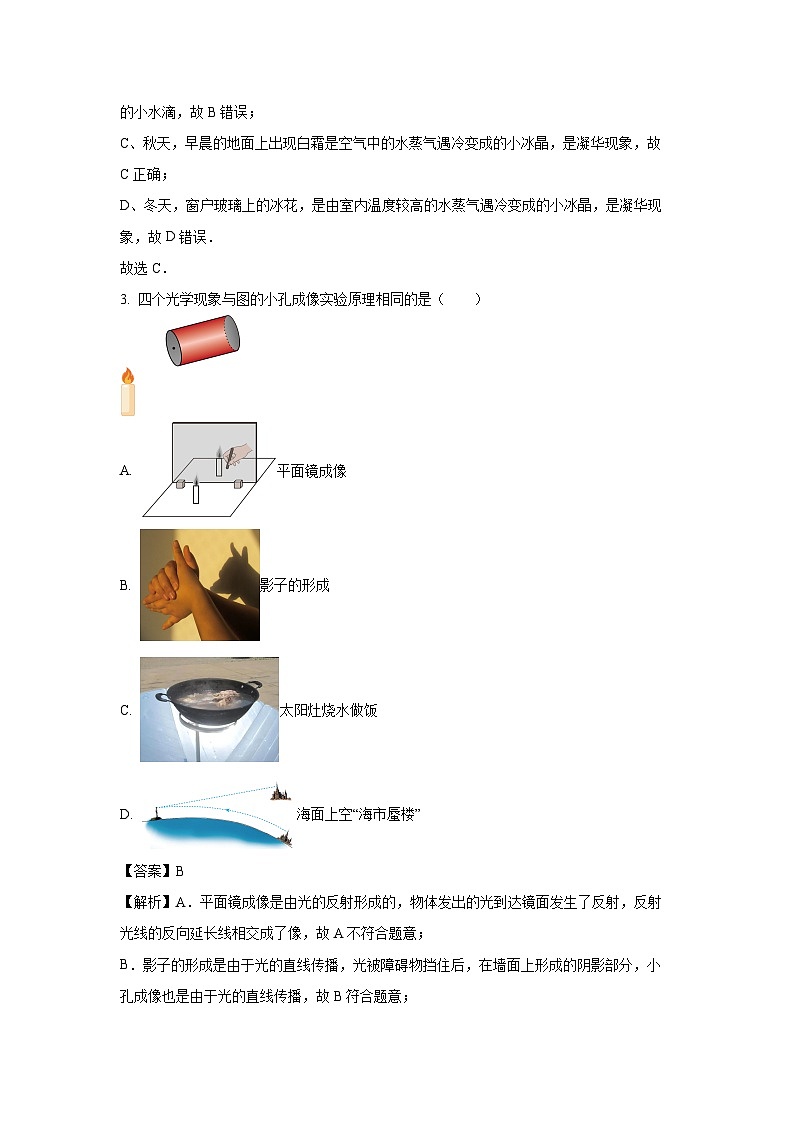 [物理]天津市滨海新区2024年中考模拟预测试题(解析版)02