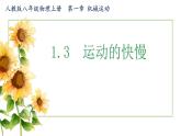 第3节 运动的快慢  课件 2024-2025学年人教版八年级物理上册