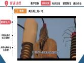 初中物理16.2《串、并联电路中电压的规律》（同步课件）-九年级全一册课件（人教版）
