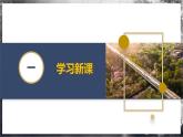 【苏科版】八上物理  5.3 直线运动（课件+练习+内嵌视频）
