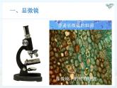 5.5跨学科实践：制作望远镜课件2024-2025学年人教版物理八年级上册