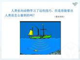 2.3声的利用课件2024-2025学年人教版物理八年级上册