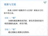 5.1透镜课件2024-2025学年人教版物理八年级上册