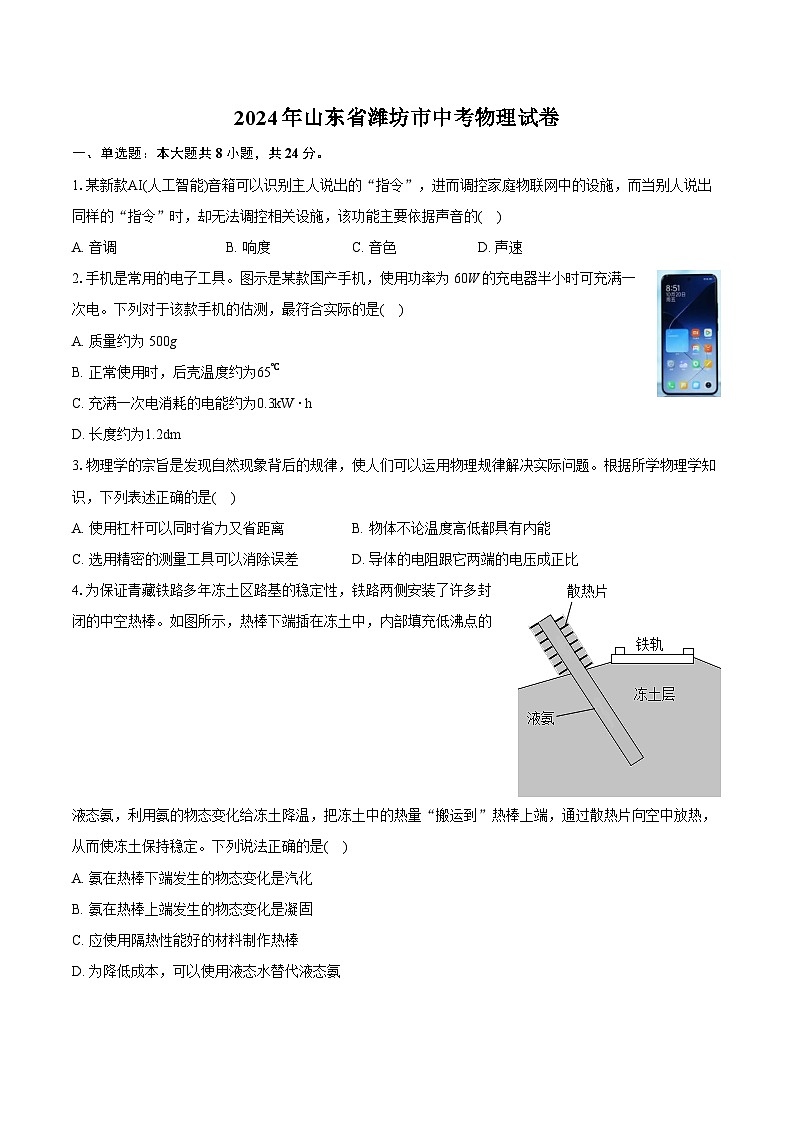 2024年山东省潍坊市中考物理试卷（含详细答案解析）01