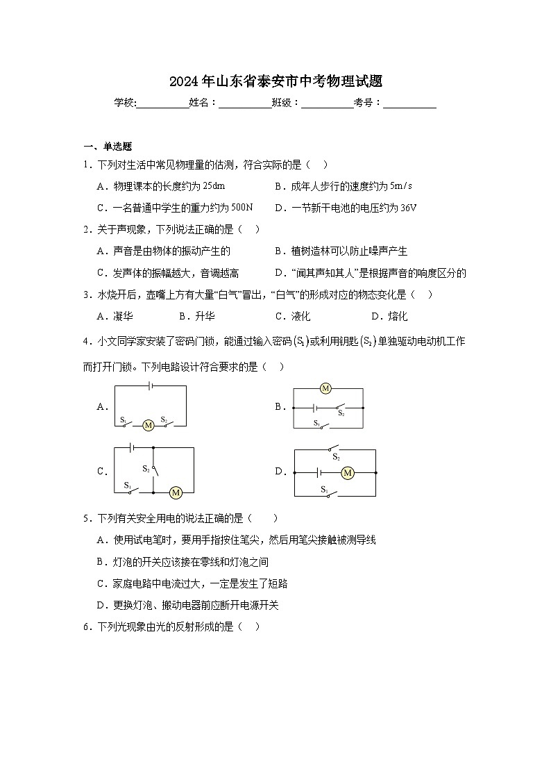 2024年山东省泰安市中考物理试题第1页