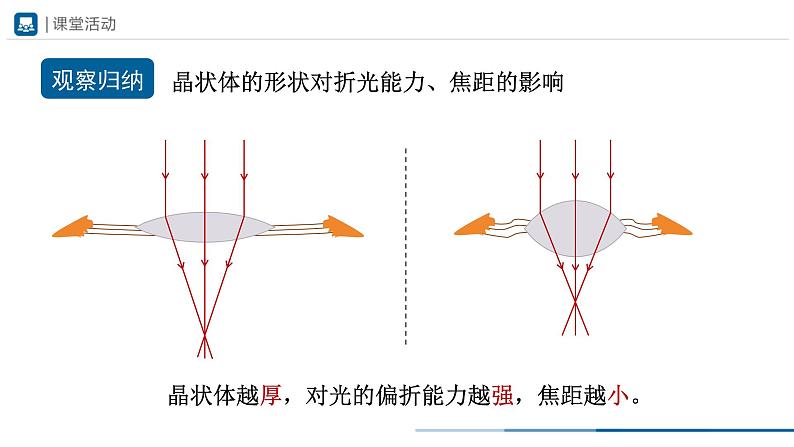 人教版八年级物理上册精品课堂5.4 眼睛和眼镜（教学课件）第7页