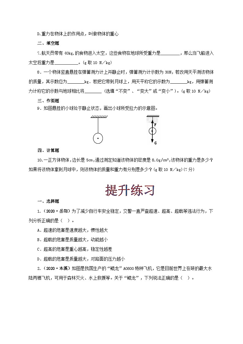 人教版八年级物理下册同步备课课时7.3重力(备作业)(原卷版+解析)02