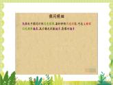 北师大版（2024）物理八年级上册 第二单元 第五节 平均速度的测量 PPT课件+教案
