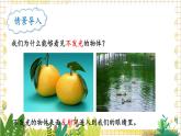 北师大版（2024）物理八年级上册 第四单元 第二节 光的反射 PPT课件+教案
