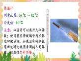 北师大版（2024）物理八年级上册 第1单元 章末复习 PPT课件