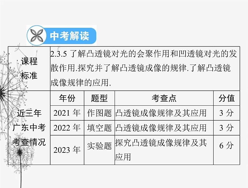 初中物理学业考试复习第五章透镜及其应用课件02