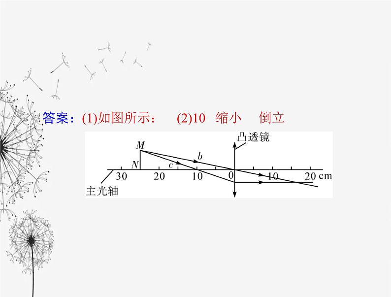 初中物理学业考试复习第五章透镜及其应用课件07