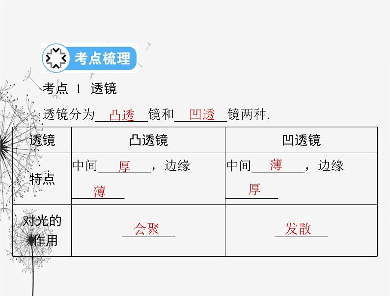 初中物理学业考试复习第五章透镜及其应用课件08