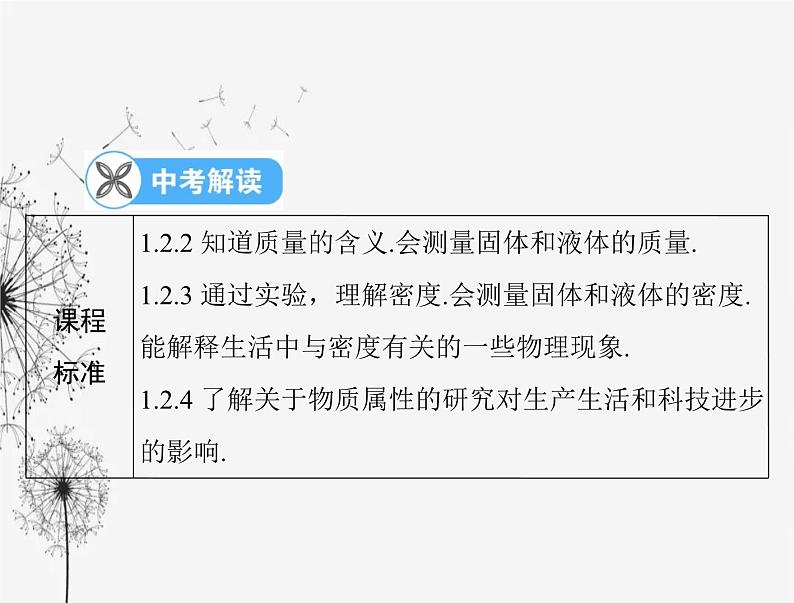 初中物理学业考试复习第六章质量与密度课件第2页