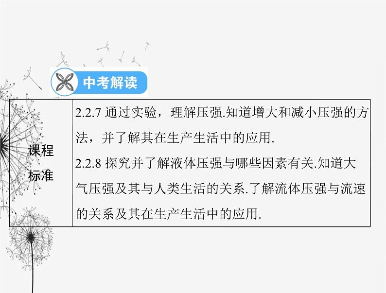 初中物理学业考试复习第九章压强课件02