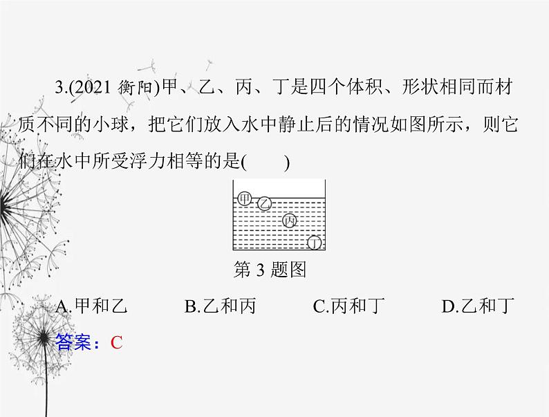 初中物理学业考试复习第十章浮力课件06