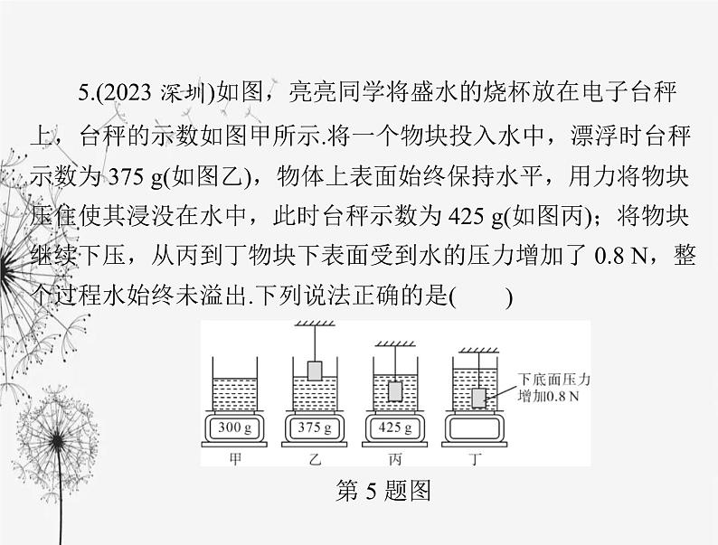 初中物理学业考试复习第十章浮力课件08