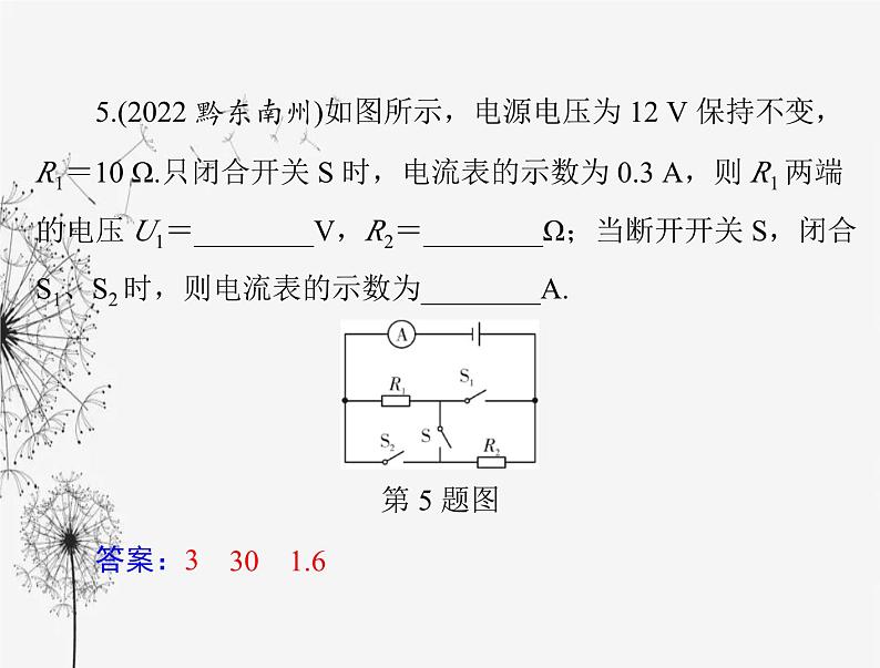 初中物理学业考试复习第十七章欧姆定律课件08