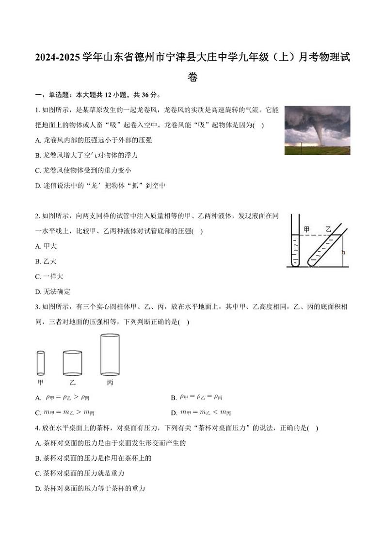 [物理]山东省德州市宁津县大庄中学2024～2025学年九年级上学期月考试卷(有解析)01