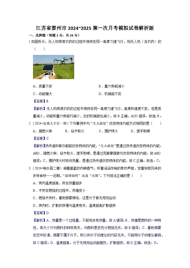 江苏省泰州市2024_2025学年九年级上学期第一次月考物理模拟试卷01