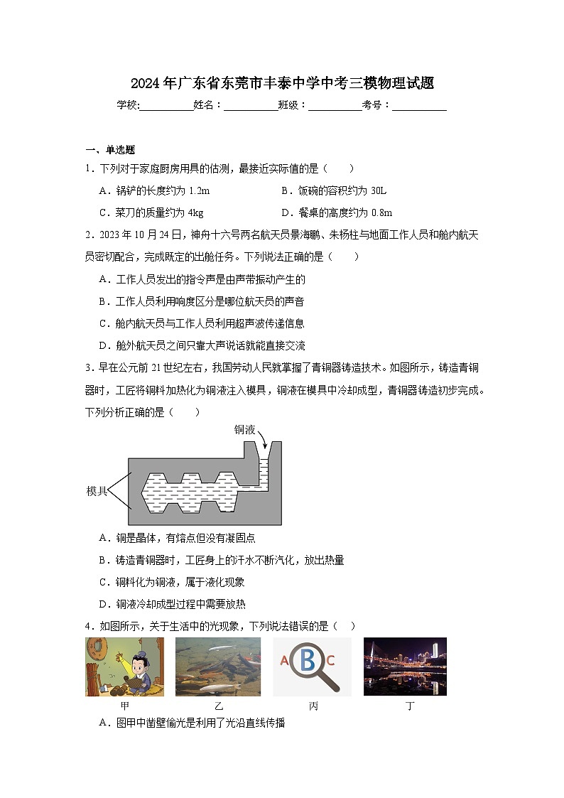 2024年广东省东莞市丰泰中学中考三模物理试题 (1)第1页