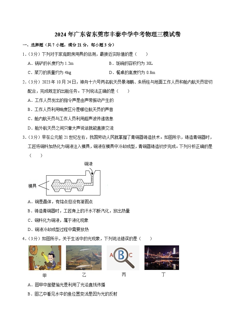 2024年广东省东莞市丰泰中学中考物理三模试卷第1页