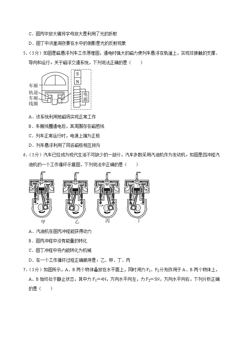 2024年广东省东莞市丰泰中学中考物理三模试卷第2页