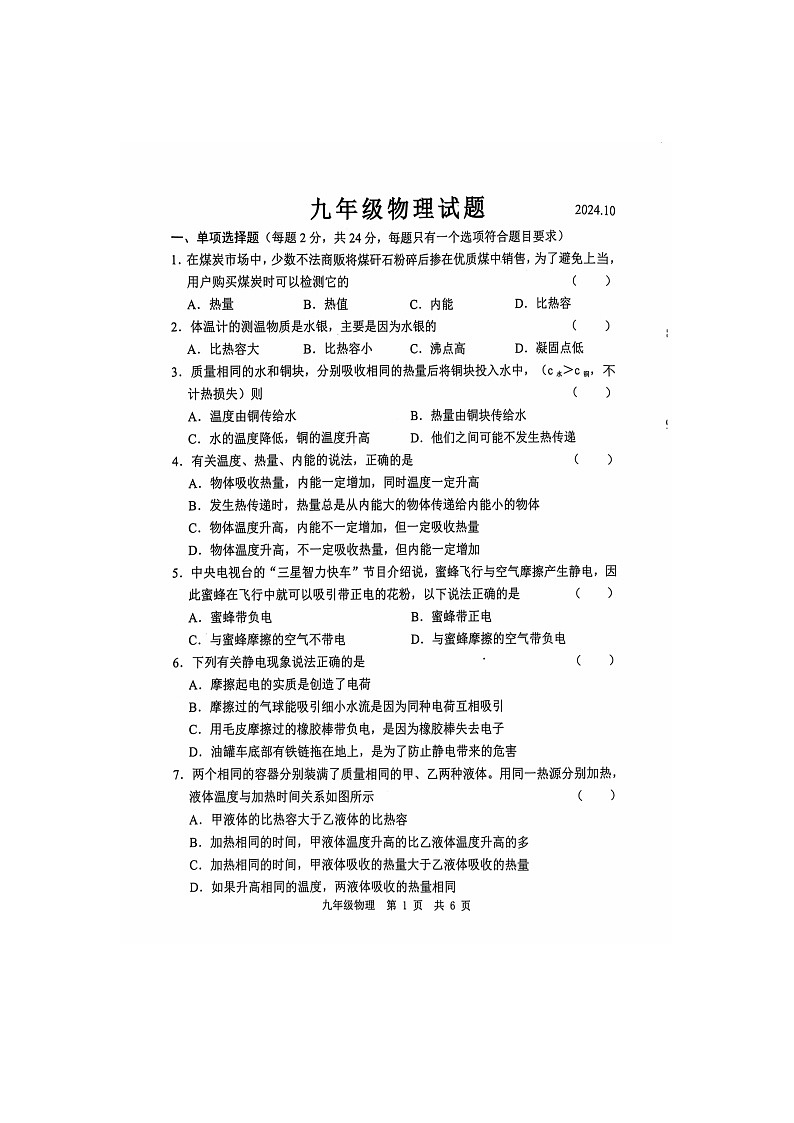 山东省菏泽市经济技术开发区多校联考2024-2025学年九年级上学期10月月考物理试题第1页