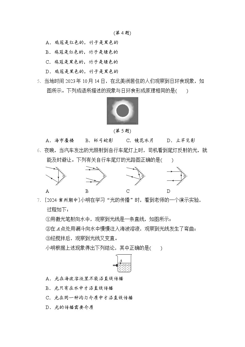 第四章　光现象（单元综合测试卷）-- 2024-2025学年北师大版（2024）物理八年级上册02