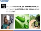 【新教材】沪粤版物理八年级上册3.5奇妙的透镜（同步课件）