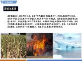 【新教材】沪粤版物理八年级上册4.1从全球变暖谈起（同步课件）