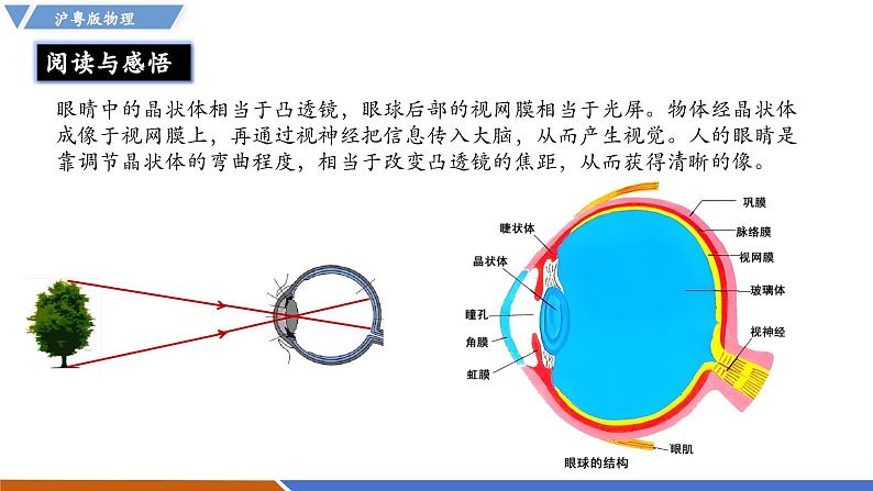 3.7 眼睛和光学仪器（同步课件）第3页