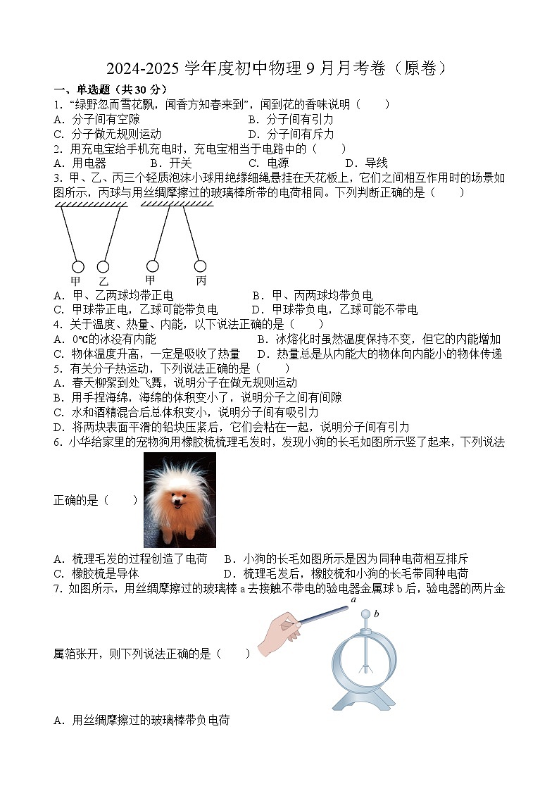山东省聊城市莘县莘县翔宇学校2024-2025学年九年级上学期10月月考物理试题01