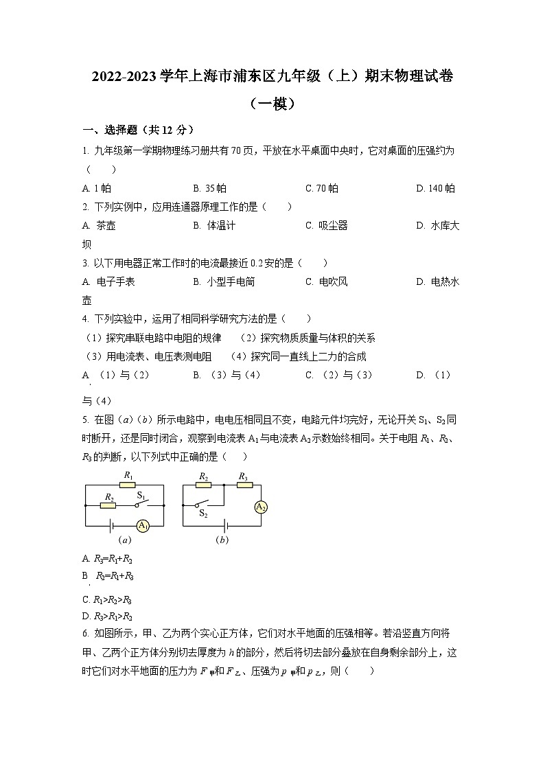 上海市浦新东区2022-2023学年九年级上学期期末物理试题第1页